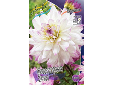 84,8���. �������� �������� ���(�������� ���� �� 1 ��., ����������� ����� 1��.).jpg