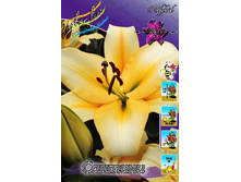 30,01���. ����� �������(�������� ���� �� 7 ��., ����������� ����� 1��.).jpg