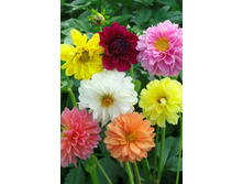 �������������� ������� 20�� 11.jpg