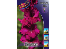 10,19���. ��������� �����(���������� ������ ������ ���������� �� 8 ��.).jpg