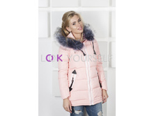 ���.8031 ��. �������.jpg