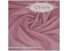 ���� ����� ���������� ��������.jpg