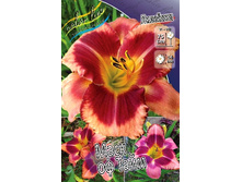 221,5���. �������� ���� �� ����(�������� ���� �� 1 ��., ����������� ����� 1��.).jpg