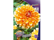 75,6���. �������� ������ �������(�������� ���� �� 1 ��., ����������� ����� 1��.).jpg