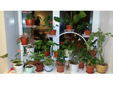 ����������