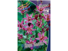 57,8���. ��������� ���� �����(�������� ���� �� 3 ��., ����������� ����� 1��.).jpg