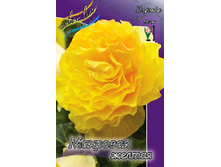 38,54���. ������� �������� ������(�������� ���� �� 5 ��., ����������� ����� 1��.).jpg