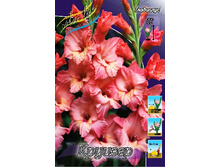 8,18���. ��������� �������(���������� ������ ������ ���������� �� 8 ��.).jpg