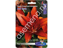 ��� ����.jpg