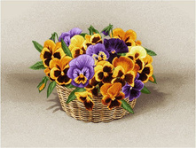 ������� ������ - ����������� �����.jpg