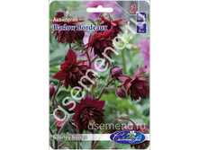 ������ �����.jpg