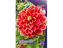 89,4���. �������� ���������(�������� ���� �� 1 ��., ����������� ����� 1��.).jpg