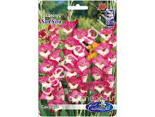 ��� ����.jpg