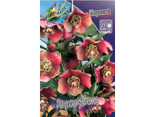 204,9���. �������� ����������(�������� ���� �� 1 ��., ����������� ����� 1��.).jpg