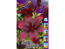 30,54���. ����� ���� ����(�������� ���� �� 7 ��., ����������� ����� 1��.).jpg