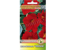 ��������� ���� �� ����� �����������	1	8,00 ���.