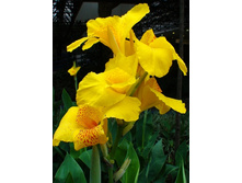 76,9���. ����� (�����) ������ �������(�������� ���� �� 1 ��., ����������� ����� 1��.).jpg