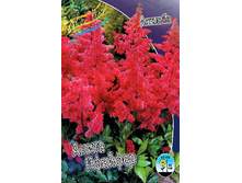 67,6���. �������� ����� �������(�������� ���� �� 1 ��., ����������� ����� 1��.).jpg