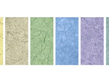 �����-0001 oceana-1900.jpg