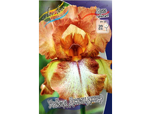 95,3���. ���� ���������� ����� ��������(�������� ���� �� 2 ��., ����������� ����� 1��.).jpg