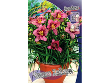 88,35���. �������� ������ ������(�������� ���� �� 2 ��., ����������� ����� 1��.).jpg