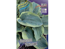 61,8���. ����� ������� �������(�������� ���� �� 2 ��., ����������� ����� 1��.).jpg