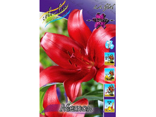 23,63���. ����� �����(�������� ���� �� 7 ��., ����������� ����� 1��.).jpg