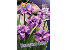 93,35���. ���� ��������� �������� ����(�������� ���� �� 2 ��., ����������� ����� 1��.).jpg