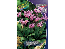 53,5���. ���������� ������(�������� ���� �� 2 ��., ����������� ����� 1��.).jpg