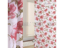 ����� ����� 78489.jpg