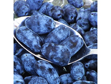 192���. ��������� ���������� ������.jpg