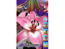 20,17���. ����� �������(�������� ���� �� 7 ��., ����������� ����� 1��.).jpg