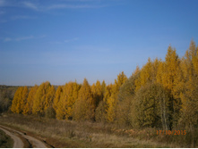 ������� �����