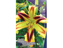 138,6���. �������� ��� �����(�������� ���� �� 1 ��., ����������� ����� 1��.).jpg