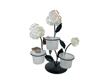 ���������� ������ "����" �� ��� �����