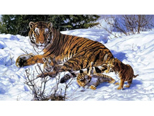 ����� �� �����- ����������� �����.jpg