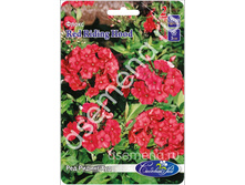 ��� ������ ���.jpg