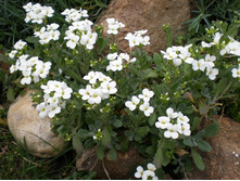 ������ ���������� ������ 0,1�� 10.jpg