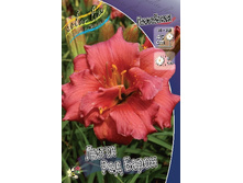 180���. �������� ����� ��� �����(�������� ���� �� 1 ��., ����������� ����� 1��.).jpg