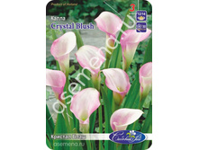 ������� ����.jpg