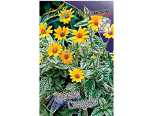 196,6���. ��������� ������ �������(�������� ���� �� 1 ��., ����������� ����� 1��.).jpg