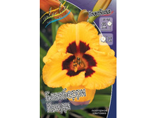 105,4���. �������� ��������� �����(�������� ���� �� 1 ��., ����������� ����� 1��.).jpg