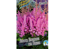 97,1���. �������� ����� ������ �� ����(�������� ���� �� 1 ��., ����������� ����� 1��.).jpg