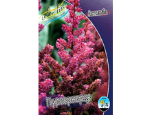 76,9���. �������� �����������(�������� ���� �� 1 ��., ����������� ����� 1��.).jpg