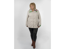 �������� Astrid AS-1523 col.19#., 2900 ���. ����� ���� 1160 ���.
