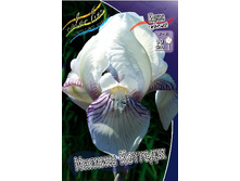 95,3���. ���� ���������� ������ �������(�������� ���� �� 2 ��., ����������� ����� 1��.).jpg