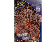 271,2���. ��������� ������� �����(�������� ���� �� 1 ��., ����������� ����� 1��.).jpg