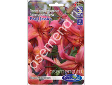 ���� ��������.jpg