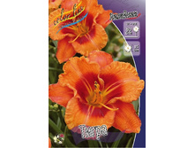 196,6���. �������� �����(�������� ���� �� 1 ��., ����������� ����� 1��.).jpg