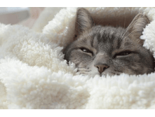 ������ ...